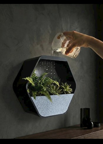 Dekoratif duvara asılabilen üstten sulanabilen saksı - Görsel 3