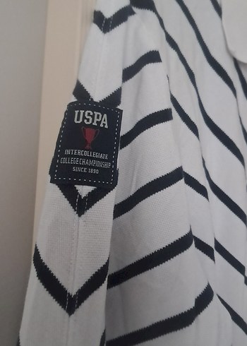 Uzun Kollu V Yaka Çizgili Erkek Polo - Görsel 4