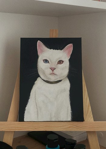 Kedi Portresi