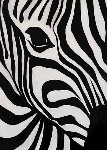 Tasarımcı Siyah Beyaz Zebra Temalı Tablo