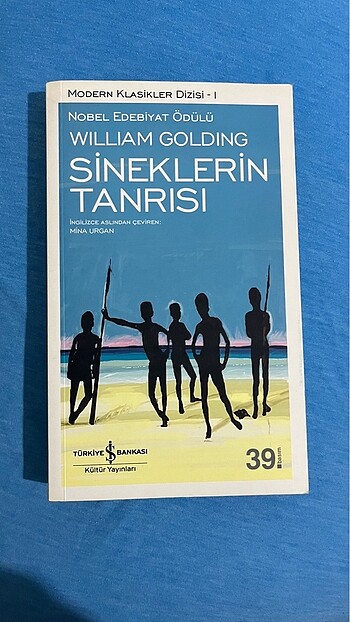 Sineklerin Tanrısı Romanı