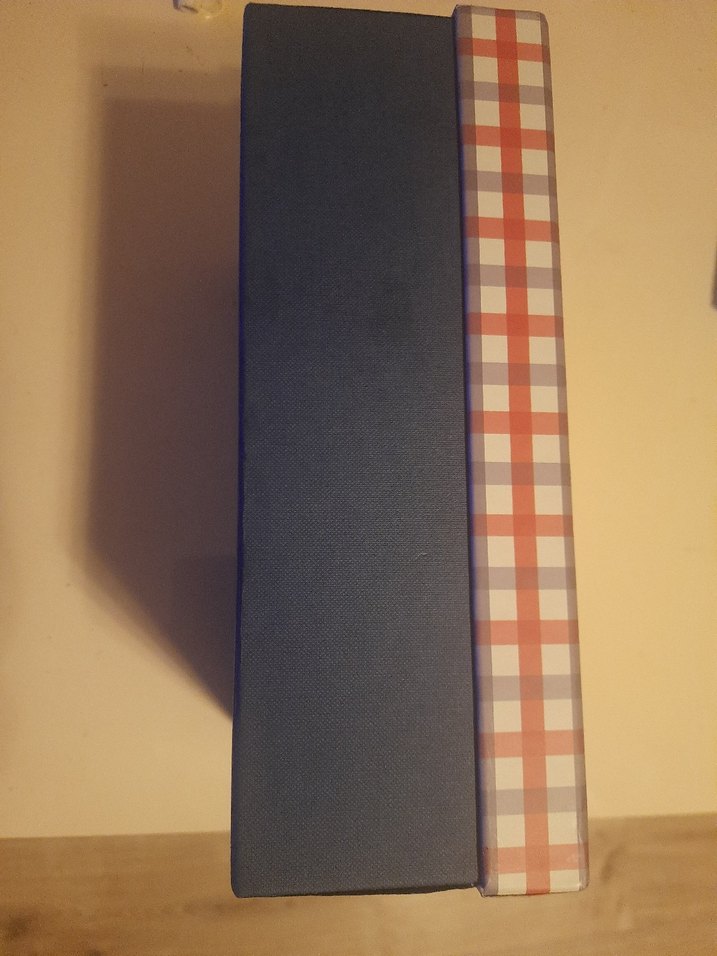 Çok Renkli Ekose Desenli Planlayıcı - Görsel 2