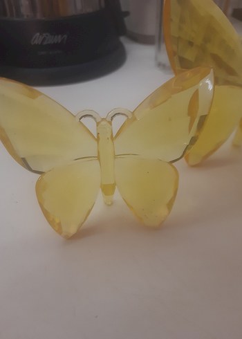 Şeffaf Sarı Kelebek taım - Görsel 3