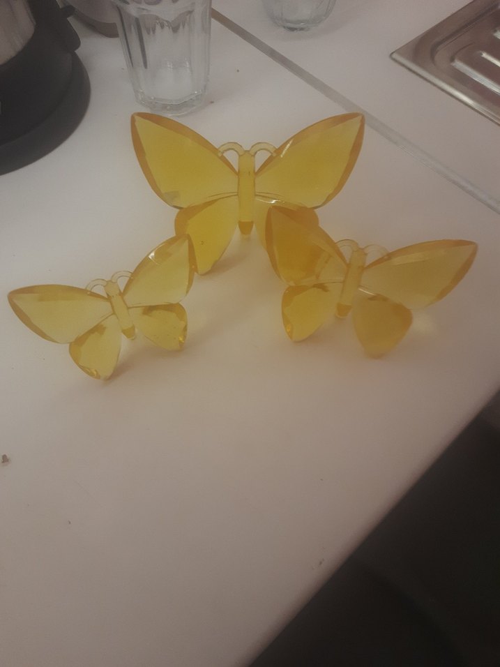 Şeffaf Sarı Kelebek taım - Görsel 2