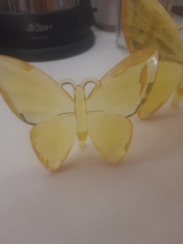 Şeffaf Sarı Kelebek taım - Görsel 3