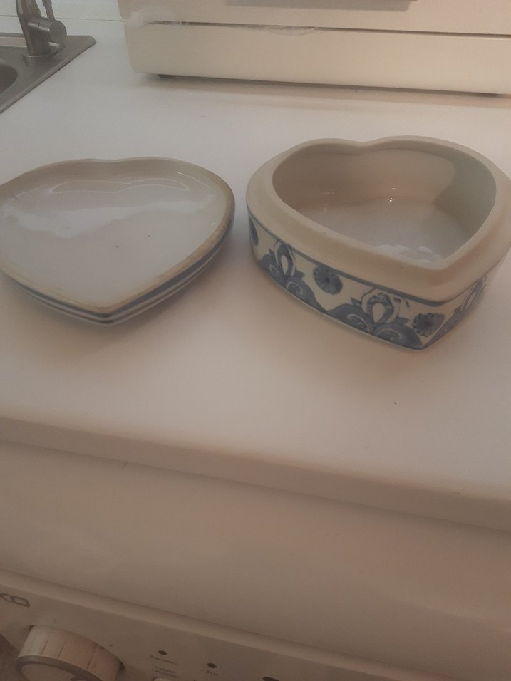 Mavi Kalp Şekilli Desenli Kapaklı Tabak - Görsel 4