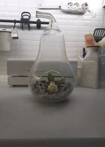 Şeffaf Cam Dekoratif Teraryum - Görsel 5