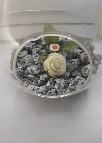 Şeffaf Cam Dekoratif Teraryum - Görsel 4