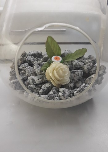 Şeffaf Cam Dekoratif Teraryum - Görsel 3