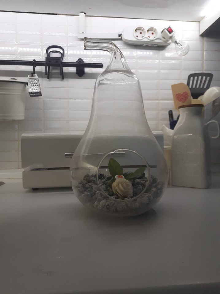 Şeffaf Cam Dekoratif Teraryum - Görsel 2