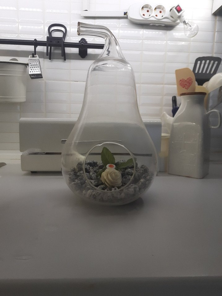 Şeffaf Cam Dekoratif Teraryum - Görsel 5