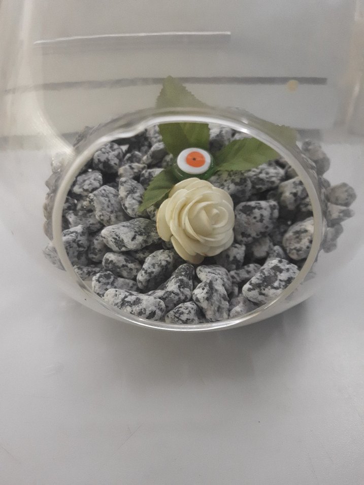 Şeffaf Cam Dekoratif Teraryum - Görsel 4