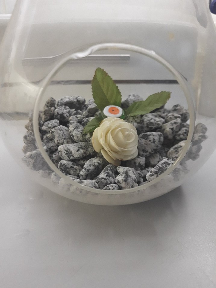 Şeffaf Cam Dekoratif Teraryum - Görsel 3