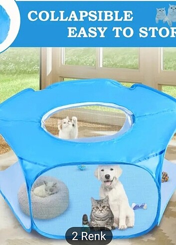 Evcil hayvan kedi köpek oyun alanı