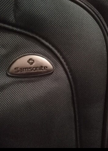 Samsonete canta