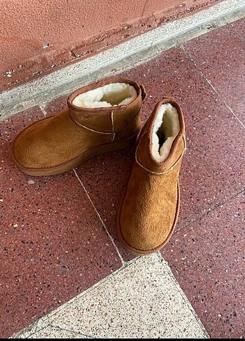 38 Beden Ugg bot
