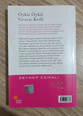Zeynep Cemali - Öykü Öykü Gezen Kedi - Görsel 2