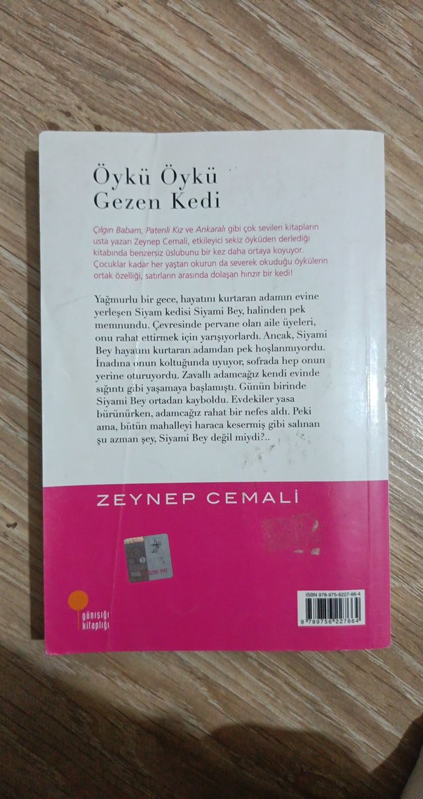 Zeynep Cemali - Öykü Öykü Gezen Kedi - Görsel 2
