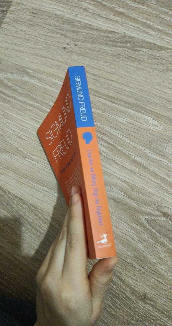 Sigmund Freud - Espriler ve Bilinç Dışı İlişkileri - Görsel 3