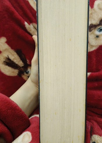 Sokak Nöbetçileri II - Aslı Arslan - Görsel 2