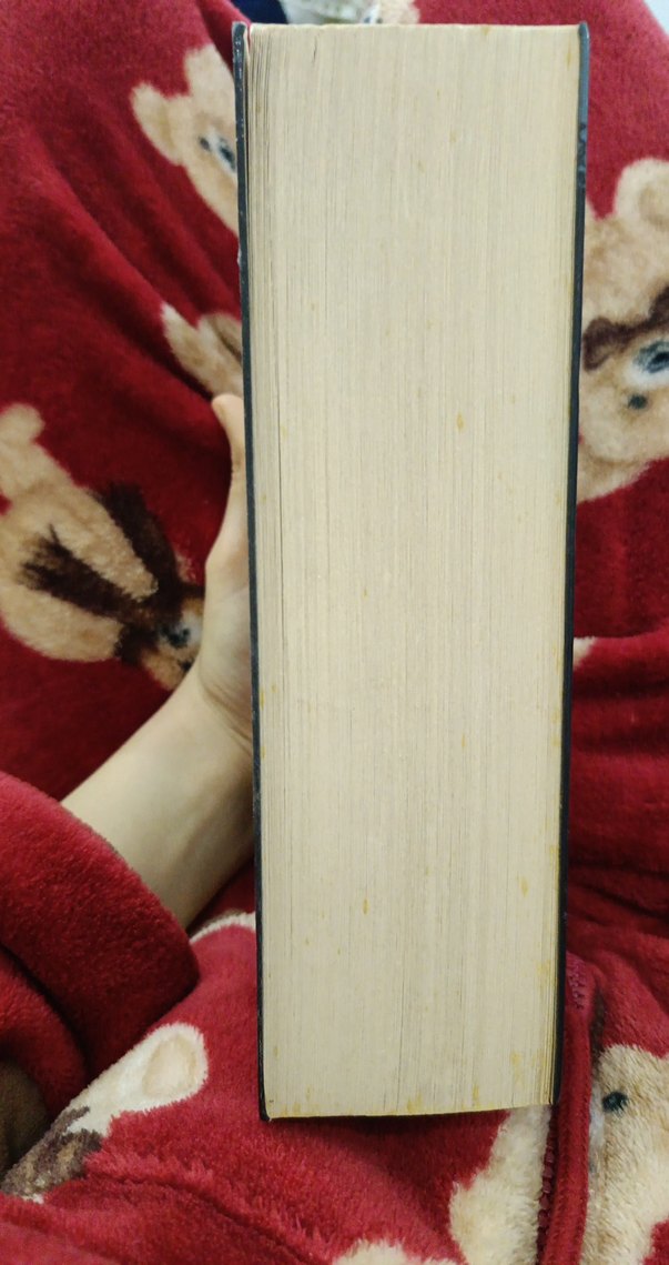 Sokak Nöbetçileri II - Aslı Arslan - Görsel 2