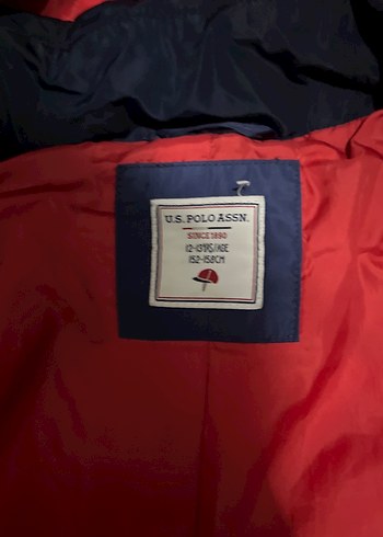 Erkek Lacivert Kapüşonlu Düğmeli Mont - Görsel 3