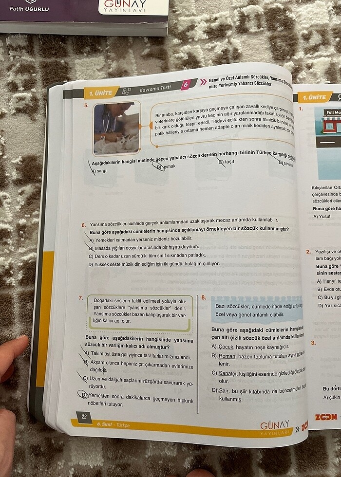 6.sınıf kitap - Görsel 3