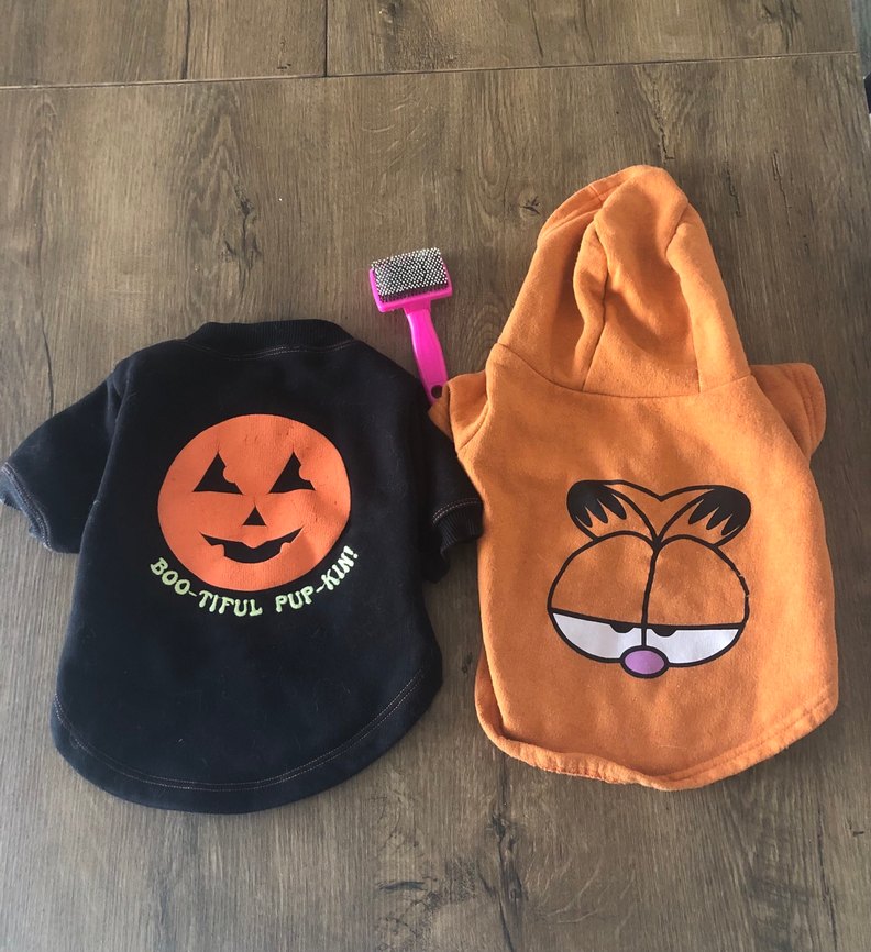 Kedi ve küçük cins köpek elbiseleri - Görsel 2