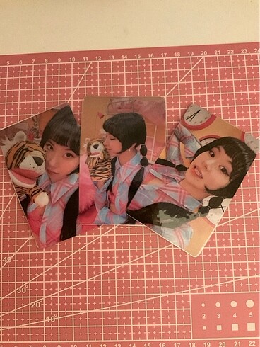 Tiger Chae