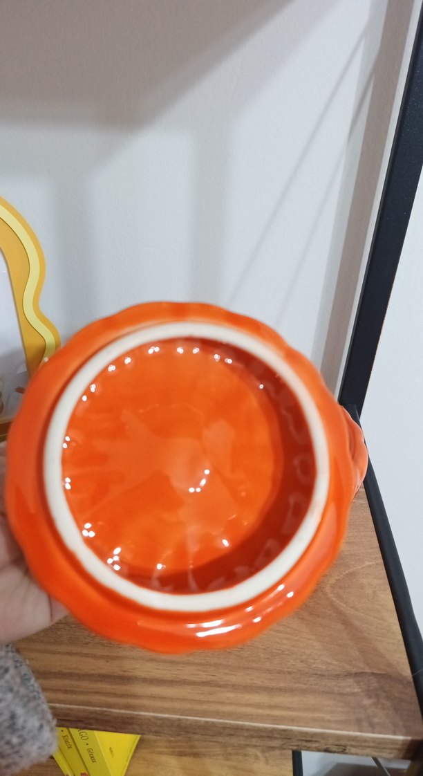 Renkli Turuncu Kabak - Görsel 2