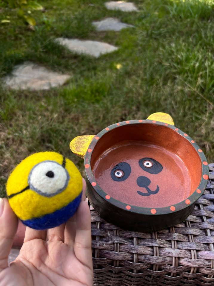 Kedi köpek oyun topu ve seramik mama kabı - Görsel 4