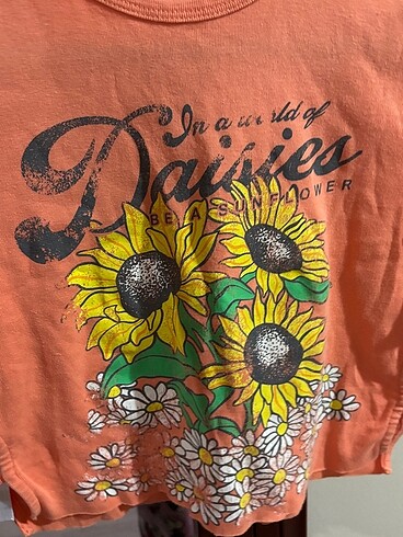 l Beden çeşitli Renk Bershka ayçiçeği ve papatya desenli crop