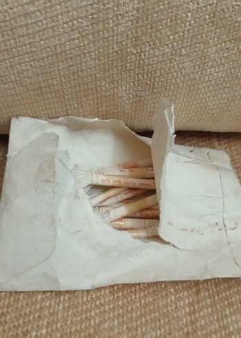 Bej Renkli Sterilize Edilecek Göğüs Pedi - Görsel 2