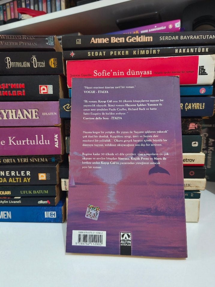 Hayatın Işıkları Yanınca - Serdar Özkan - Görsel 2