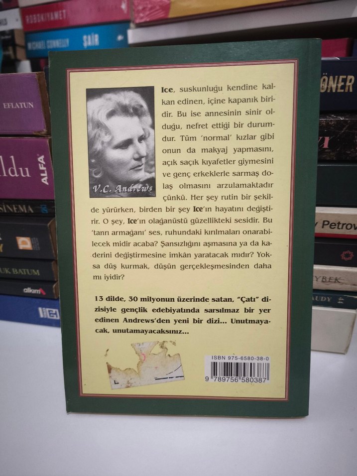 V.C. Andrews Ice Roman - Görsel 2