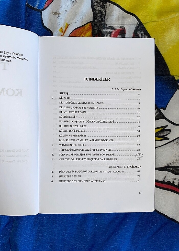 Türk Dili ve Kompozisyon - Görsel 2