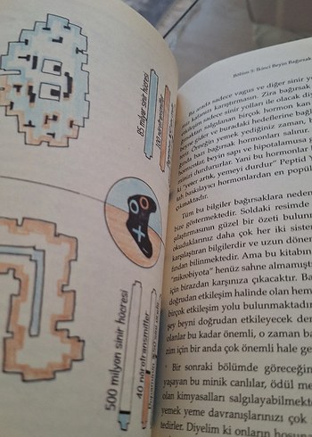 Beden Beyinde Ararken Bağırsakta Buldum Kitabı