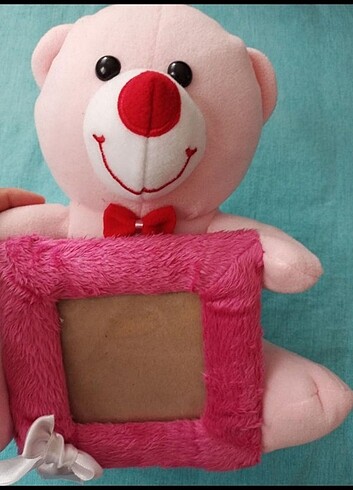 Peluş ayıcıklar 