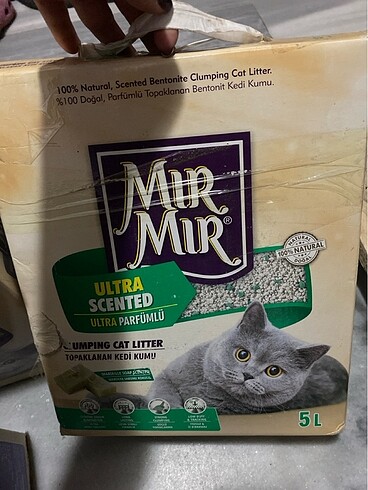 Kedi kumu