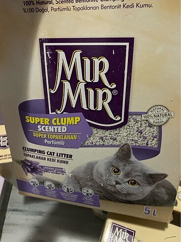 Beden Renk Kedi kumu