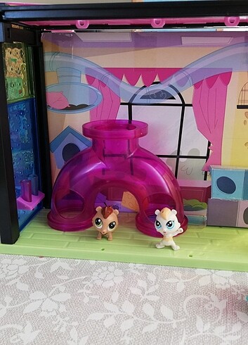  Beden Renk Lps minis evi 