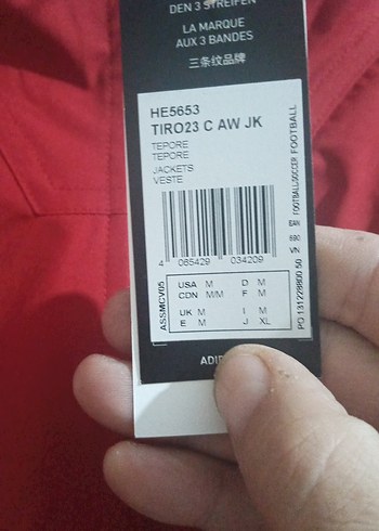 Kırmızı Erkek Spor Tarzı Yağmurluk - Görsel 4