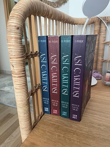Binnur Şafak kitap