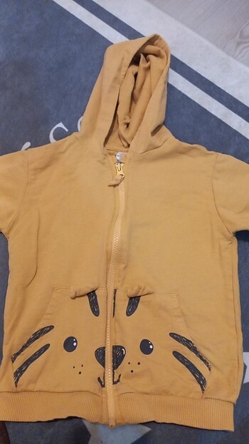 LC Waikiki Ceket