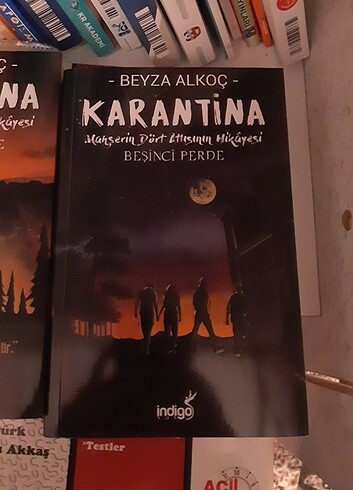 karantina beyza alkoç