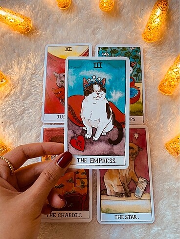 Beden Cat Tarot