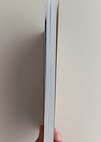 Uluslararası Sosyal Politika Kitabı - Görsel 2