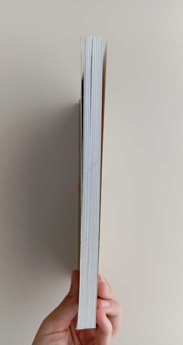 Uluslararası Sosyal Politika Kitabı - Görsel 2