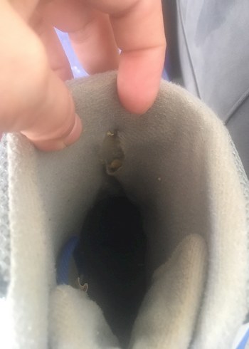 Koyu Mavi Yılan Desenli Erkek Kaykay Patenleri - Görsel 2