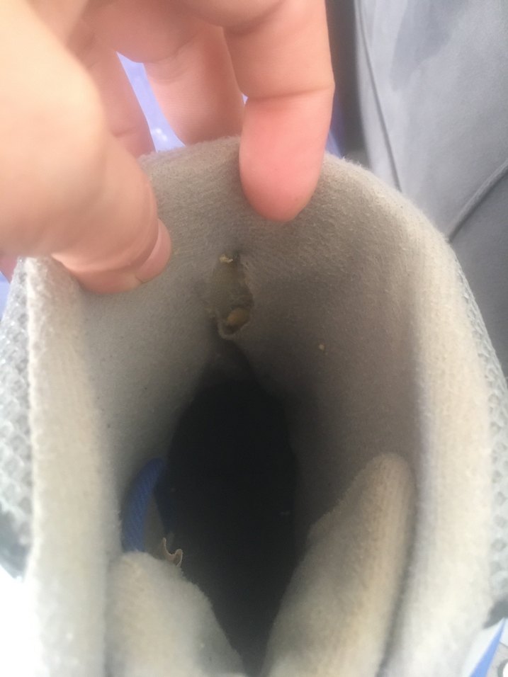 Koyu Mavi Yılan Desenli Erkek Kaykay Patenleri - Görsel 2